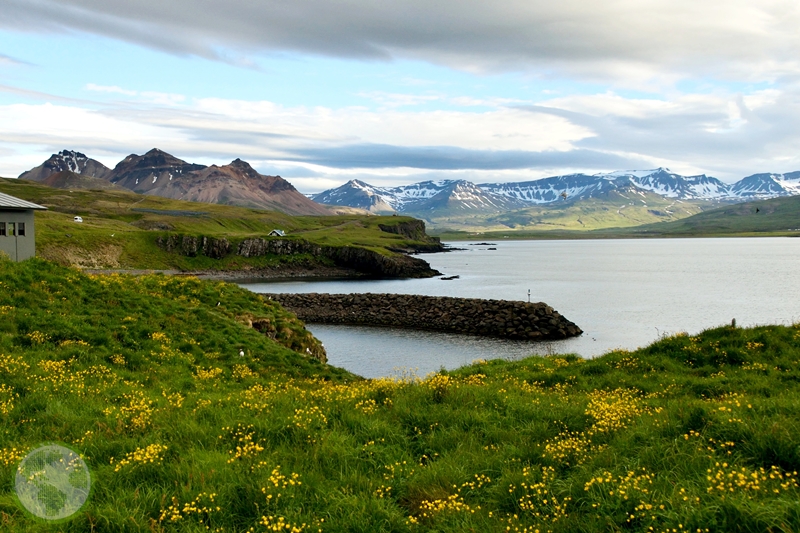 Maskonury na Islandii